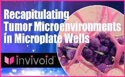 3D cell culture tech